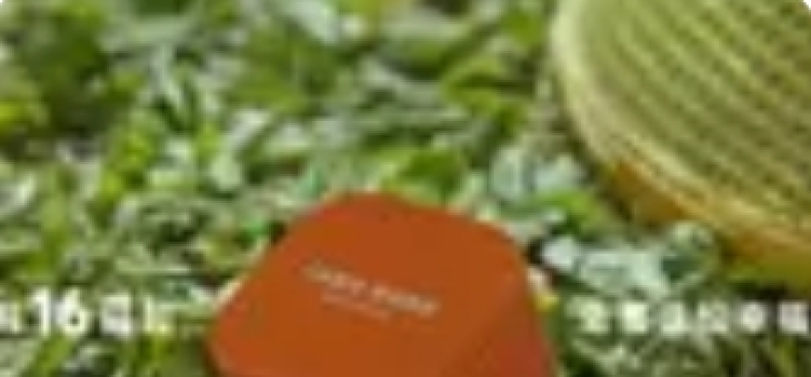 小米之家免费送茶礼：当科技巨头遇见云雾深处的扶贫茶园