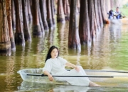 昆明海洪湿地：红杉林划船成秋日顶流